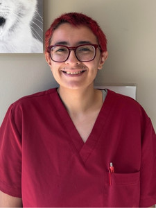 Kristina, Veterinary Assistant